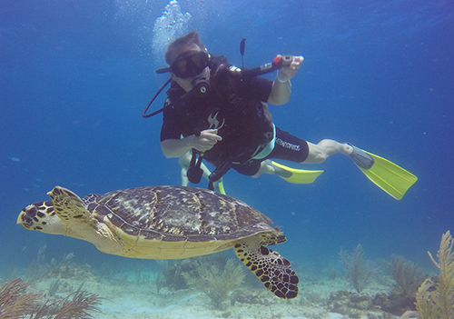 scuba diving classes cancun